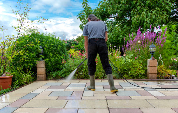 Best Sidewalk and Walkway Cleaning  in Rich Hill, MO